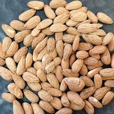 فروش بادام شاهرودی 21 + قیمت عمده
